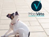 Clinique vétérinaire Mon Véto Condé Vassy