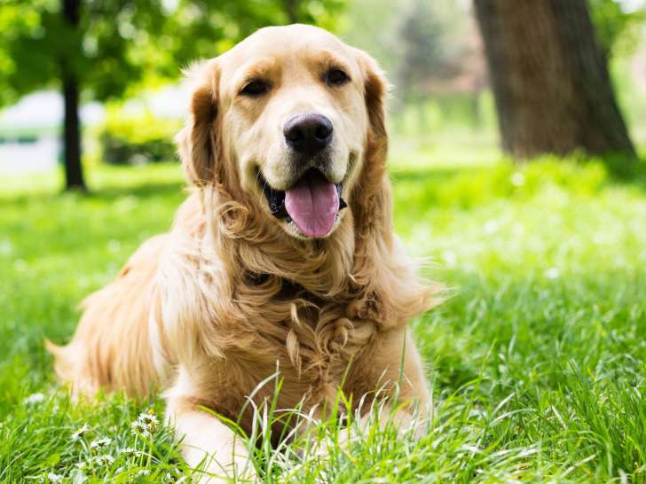 Clinique vétérinaire Mon Véto Orbec