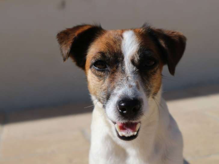 Des Légendes de Tina