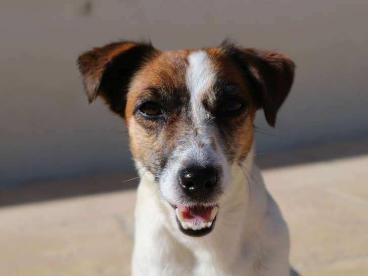 Des Légendes de Tina