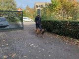 Educ'canine