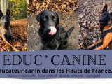 Educ'canine