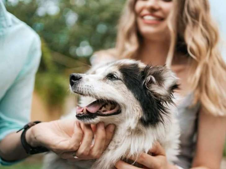 Clinique vétérinaire de la porte d'Auge