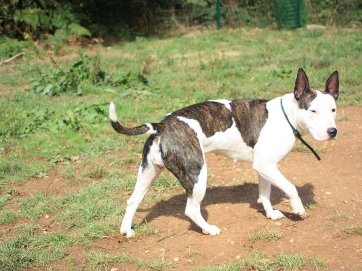 Domaine du Vent Sacr&eacute;