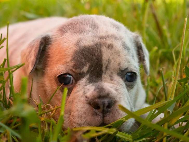 Domaine du Vent Sacr&eacute;