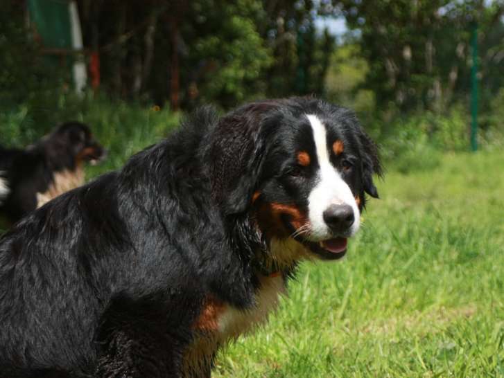 Domaine du Vent Sacré