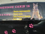 Dressage Canin 16