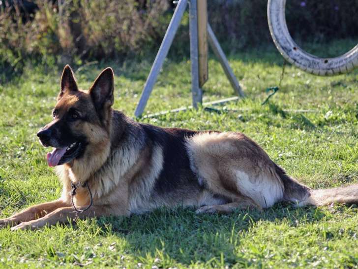 Greg votre éducateur