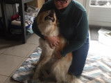 Serenity's Dog and Cat