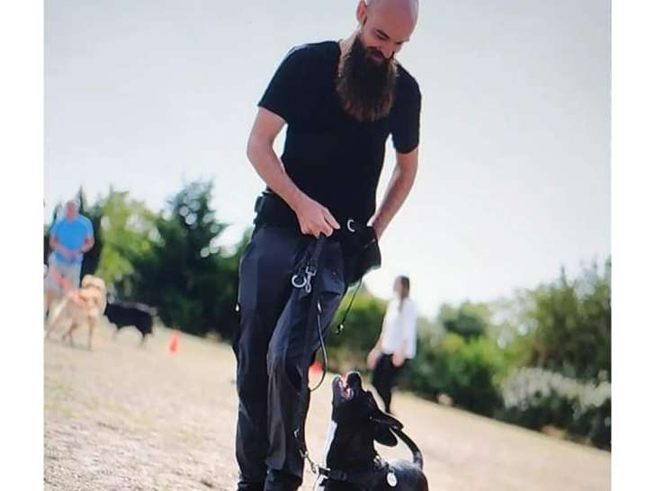 educateur canin les moities en bauptois ti dog education