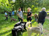 cours canin