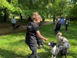 cours éducation canine