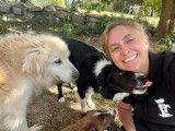 Educateur et comportementaliste canin