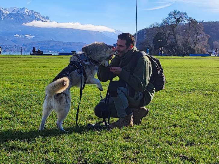 Annecy Education Canine 74