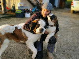 Annecy Education Canine 74