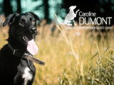 Caroline Dumont