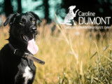Caroline Dumont