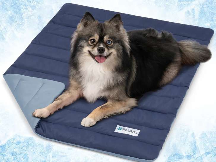 Des Champs de Resshy