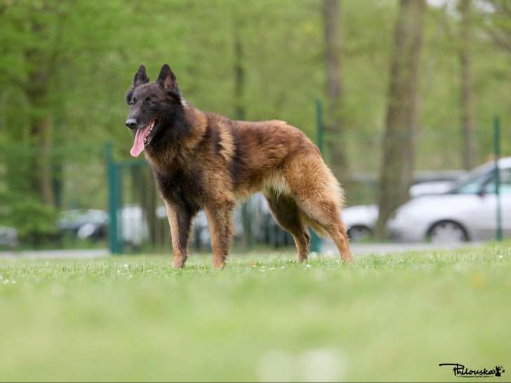 La Forge aux Sept Flammes