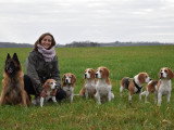 Bray Bocage