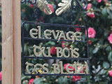 Du Bois des Bleizi