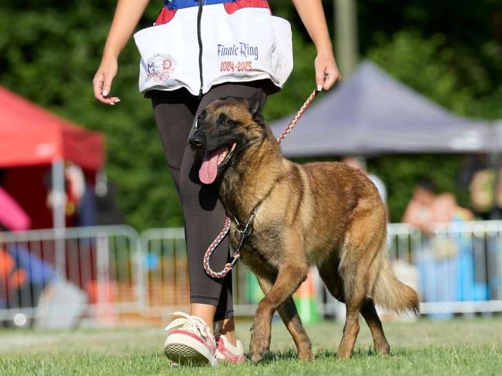 La Vallée des Suessiones