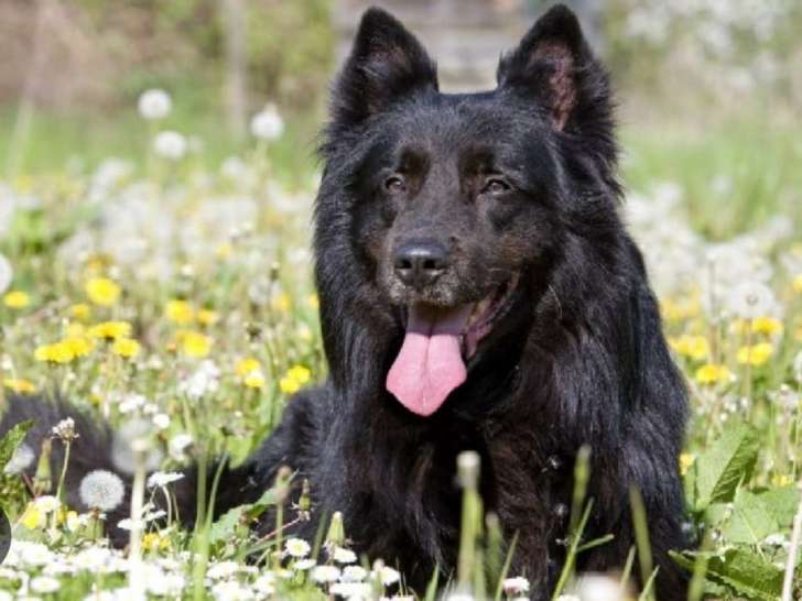 La Vallée des Suessiones