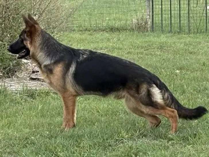 Les Bergers du Touzet