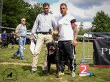 Club Belge des Rottweilers