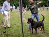 Club Belge des Rottweilers