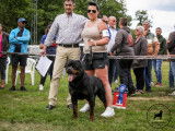 Club Belge des Rottweilers