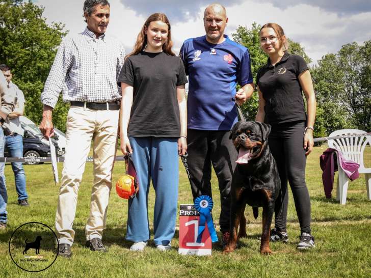 Club Belge des Rottweilers