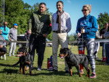Club Belge des Rottweilers