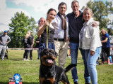 Club Belge des Rottweilers