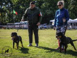 Club Belge des Rottweilers