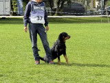 Club Suisse du Rottweiler