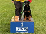 Club Suisse du Rottweiler