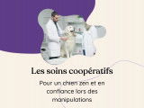 Grâce à mon service de soins coopératifs, j'apprends à votre chien que les manipulations (comme se faire couper les griffes, nettoyer les oreilles, ou même recevoir des soins chez le vet) peuvent se faire dans le respect, la douceur… et avec son consentement en tout temps!
