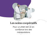 Grâce aux soins coopératifs, j'apprends à votre chien que les manipulations comme la taille de griffes, nettoyage d'oreilles, ou même recevoir des soins chez le vet, peuvent se faire dans le respect, la douceur… et avec son consentement!