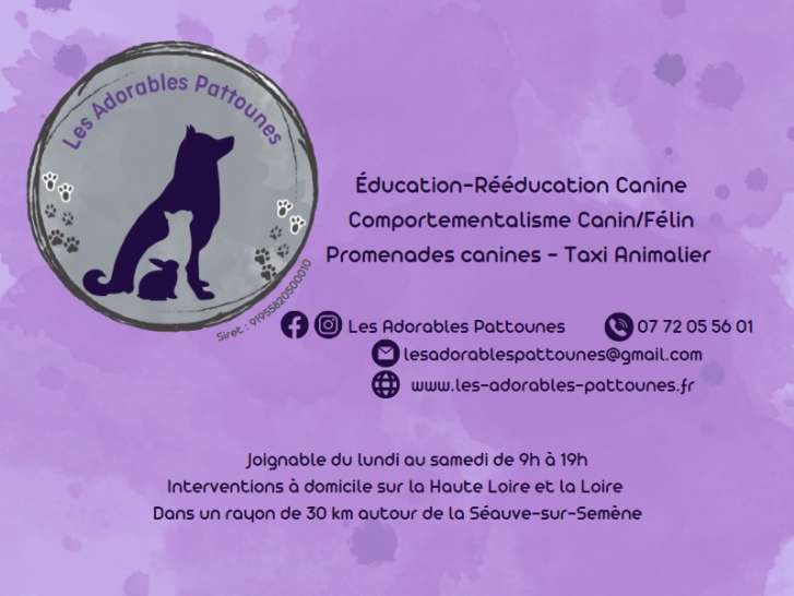 Les Adorables Pattounes - Education Canine, Comportementalisme Canin/Félin