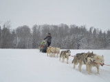 Les Nordiques de la Ferme sur la Roche