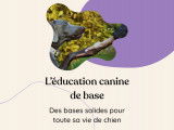 Optima Canin - Éducation et Comportement canin