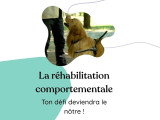 Mon service de réhabilitation comportementale est pour vous si vous voulez comprendre pourquoi votre chien aboie, tire, a peur, saute... Comment les modifier et guider votre chien vers les bons comportements, une patte à la fois!