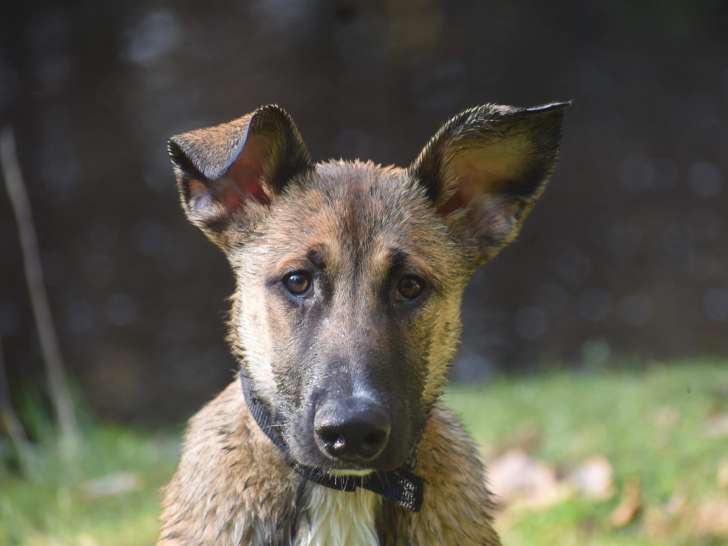 Pascal Da Costa Marques