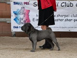 Shar-Peï Club de France