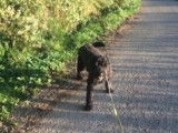 Centre Canin Ardenne