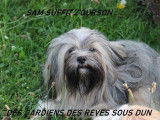 Des Gardiens Des Rêves sous Dun