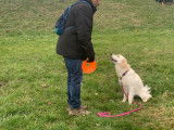 Animals Comportements & Communication