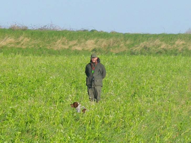 Des Landes De Pavee