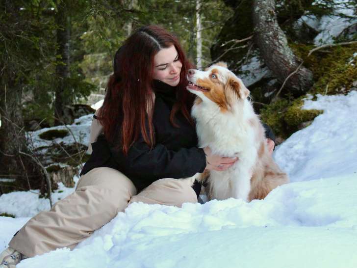 Vacances avec nos chiens à la montagne